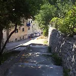 Dominik